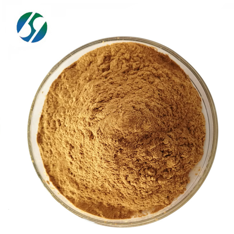 Factory Supply Fructus Jujubae Extract I Red Jujube Extract Powder I Jujube Polysaccharide 30% 50%