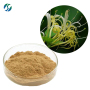 Hot sale  high quality 100% nature honeysuchle flowers extract with reasonable price and fast deivey !