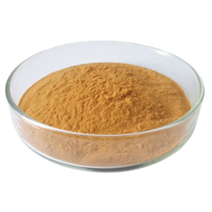 Natural Pure hawthorn leaf extract / hawthorn fruit extract