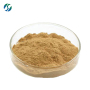 Hot sale  high quality 100% nature honeysuchle flowers extract with reasonable price and fast deivey !
