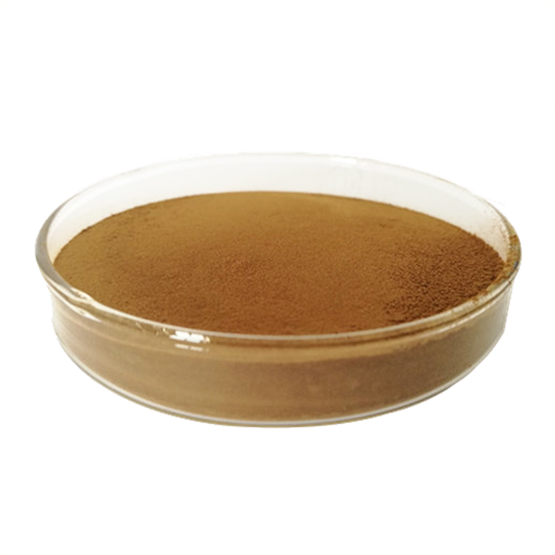 Factory Supply kale leaf extract with best price