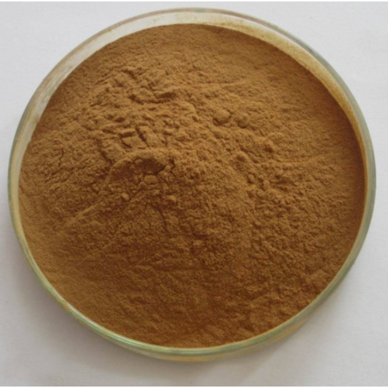 Factory supply organic powder burdock root extract