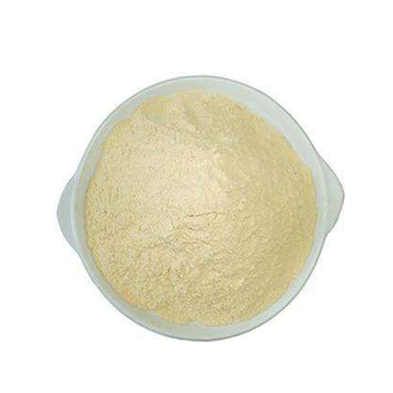 High quality soybean extract powder 20% 40% 80% soybean isoflavones