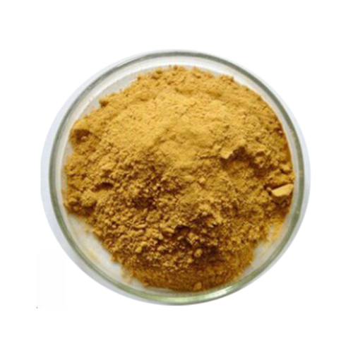 Factory Price Pure gingerol supplement ginger root extract gingerol