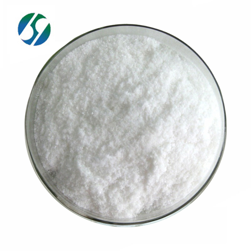 Hot selling High quality 99% purity Fasoracetam with Reasonable price CAS 110958-19-5