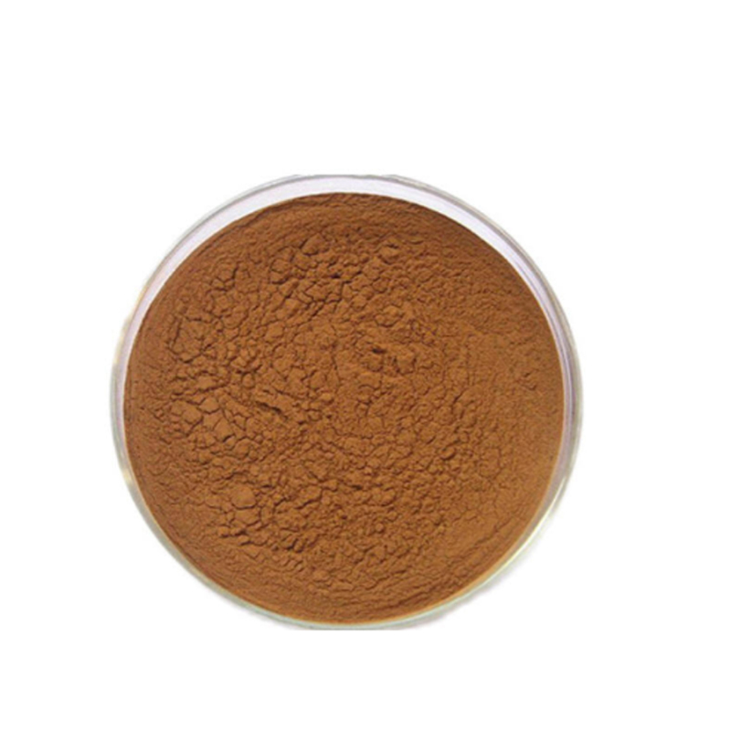 Natural Pure Plant Extract Powder honeysuckle flower extract