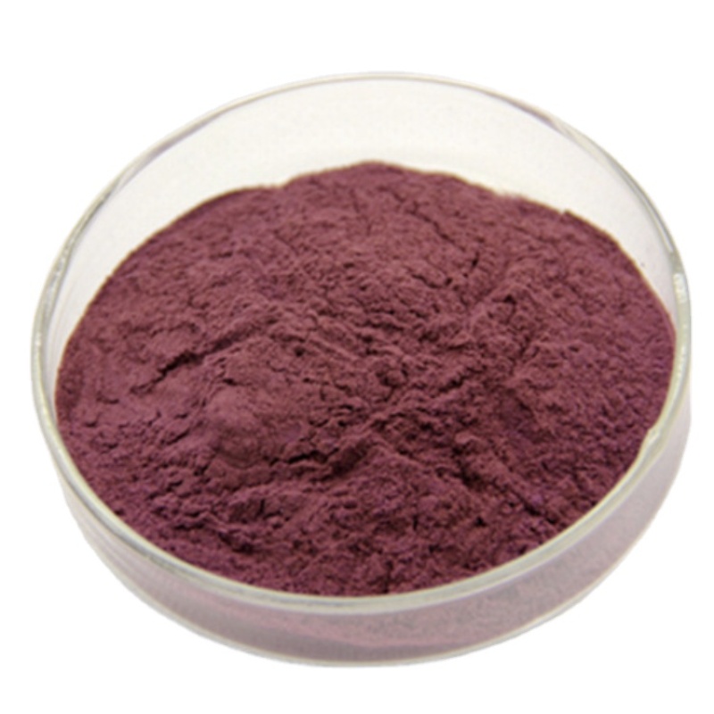 Natural blueberry Lonicera Caerulea Extract 25% 95% anthocyanin / Pure anthocyanin powder