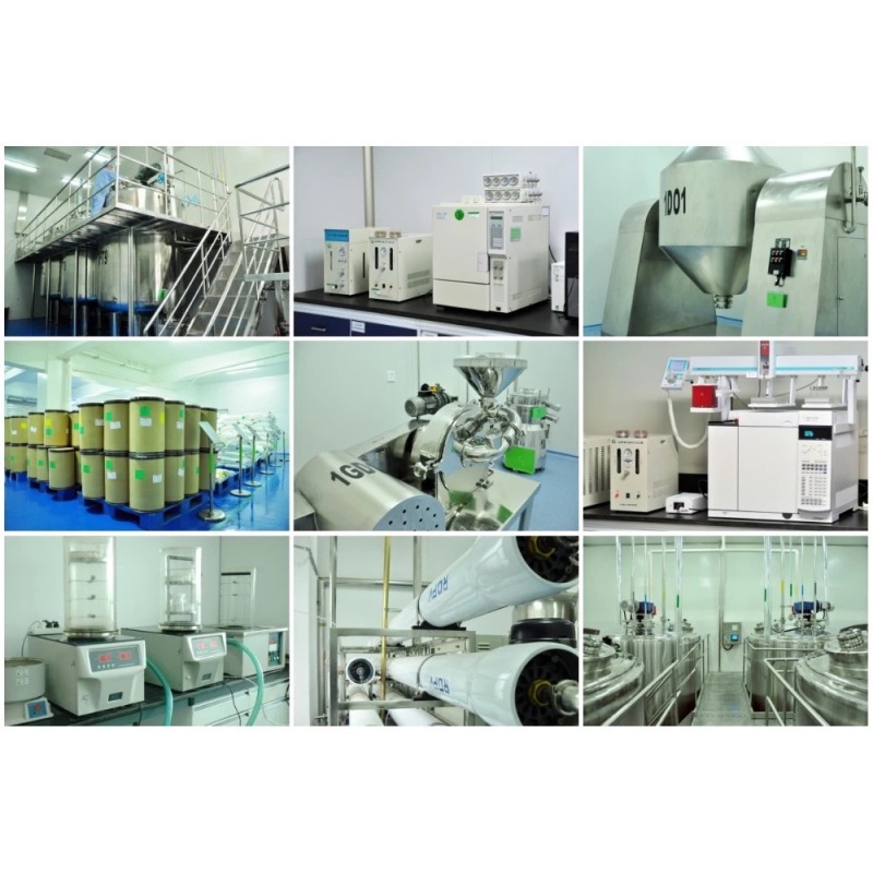 Factory Price High quality 6-Chloropurine CAS 87-42-3