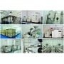 Factory Price High quality 6-Chloropurine CAS 87-42-3