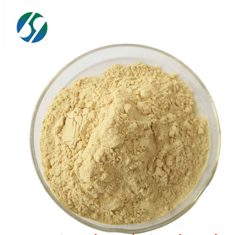 High quality soybean extract powder 20% 40% 80% soybean isoflavones