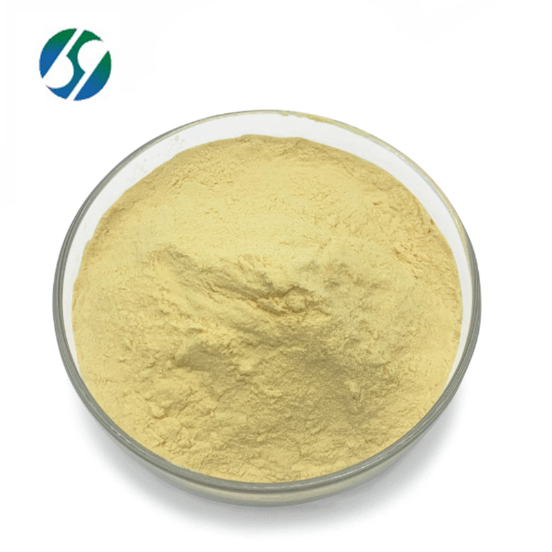 Manufacturer supply zein powder Zein Corn Protein