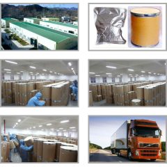 Factory  supply best price dry honey powder
