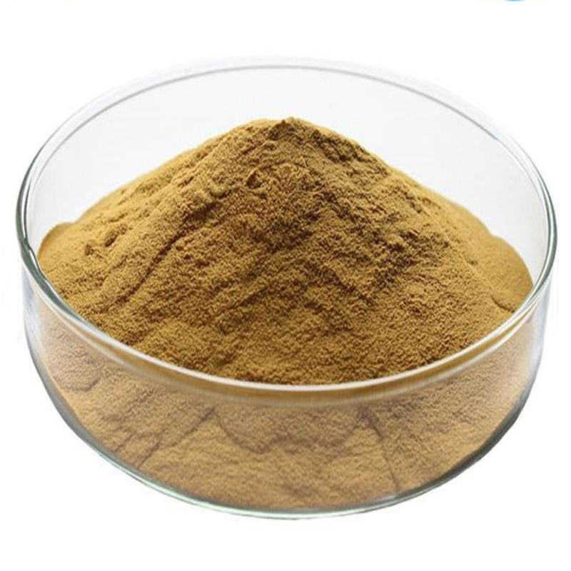 Factory Supply Natural Pure guava powder / guava fruit powder / guava leaf extract powder