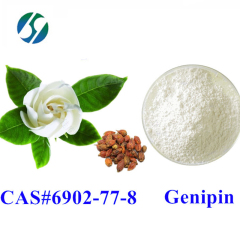 Manufacturer high quality 6902-77-8 98% genipin I genipin powder