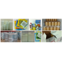 Factory supply high quality strawberry extract powder