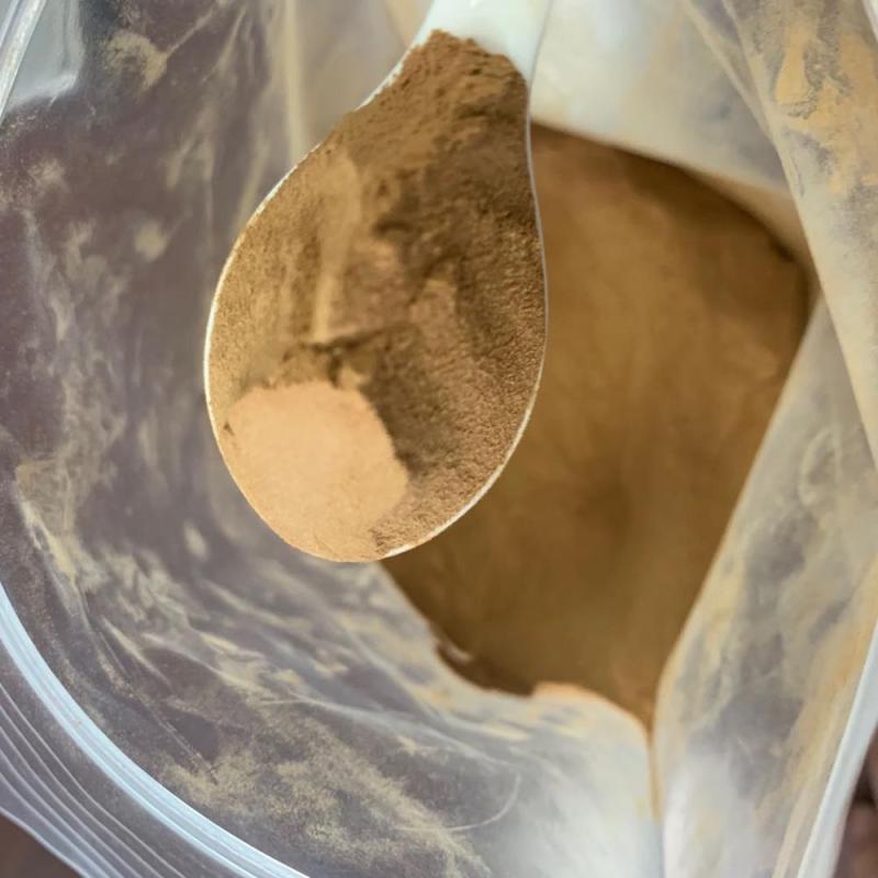 Factory supply high quality galangal extract