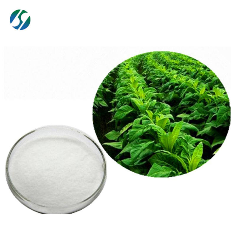 High quality Solanesol 13190-97-1 tobacco extract Solanesol powder with reasonable price on hot selling !!