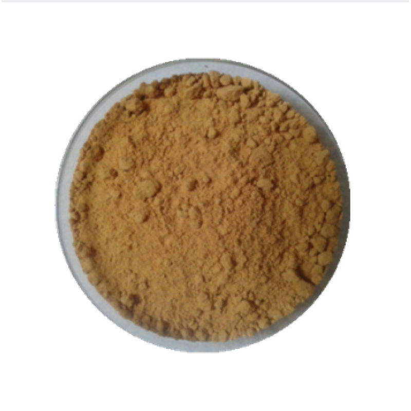 Factory supply high quality  fucus vesiculosus extract