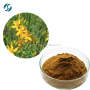 Hot selling high quality St.John's Wort Extract with reasonable price and fast delivery !!