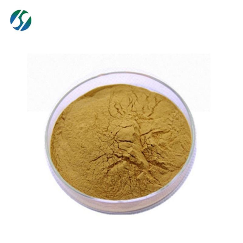 Factory supply high quality Tea tree mushroom extract