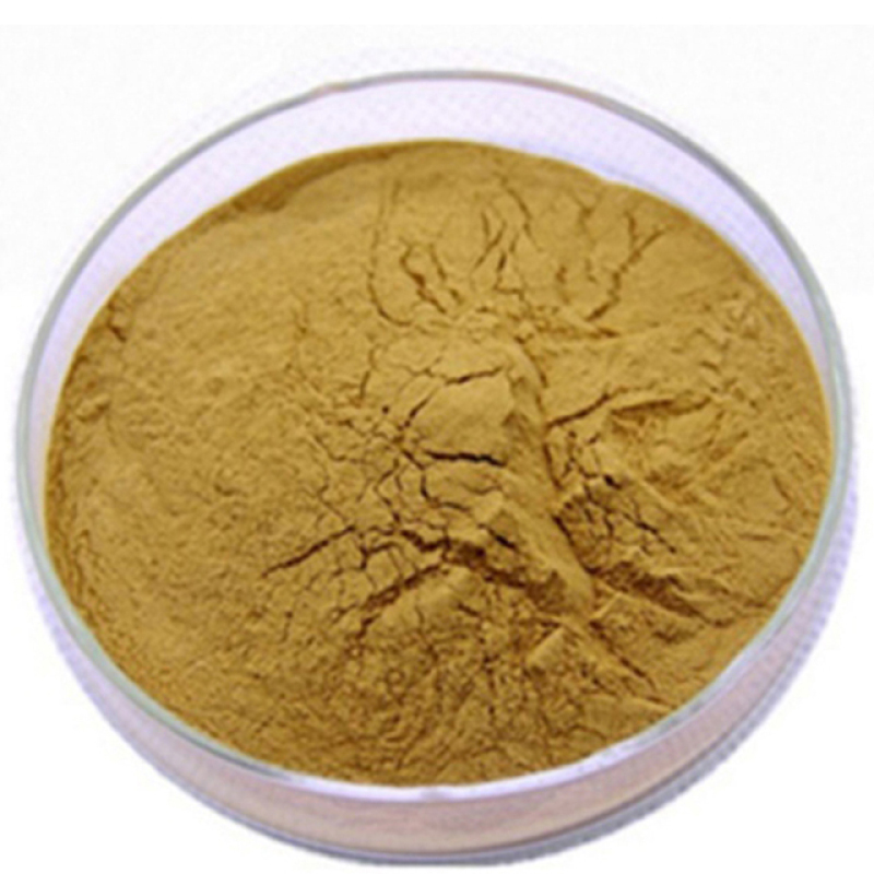 Factory supply Natural Pure broccoli extract Sulforaphane
