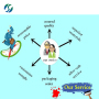 High quality Serrapeptase I Serratiopeptidase with best price 37312-62-2