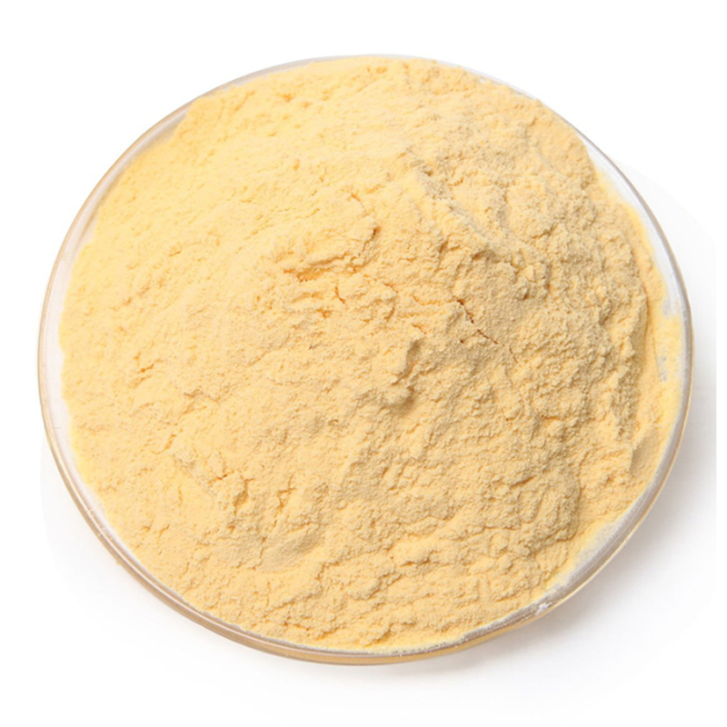 Hot sale papaya fruit extract powder
