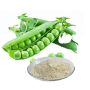 Hot selling high quality Pea Protein with reasonable price and fast delivery !!