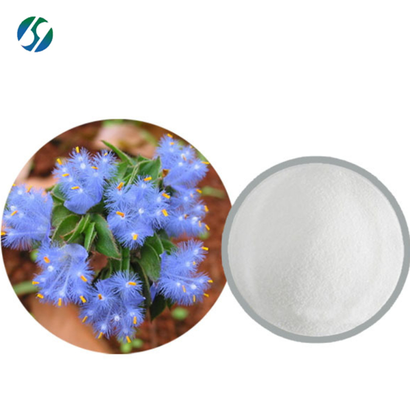 High quality 95% Beta Ecdysterone powder