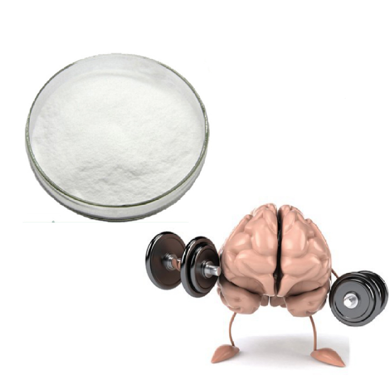 Factory supply Nootropics powder Nooglutyl / nooglutil / 112193-35-8