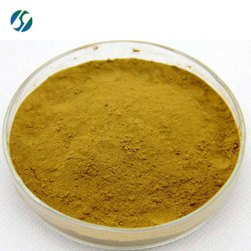 Hot sale high quality Herba Agrimoniae extract powder Herba Agrimoniae with reasonable price !