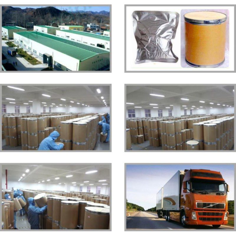 Factory Supply Water soluble Pure 98% coenzyme q10 powder