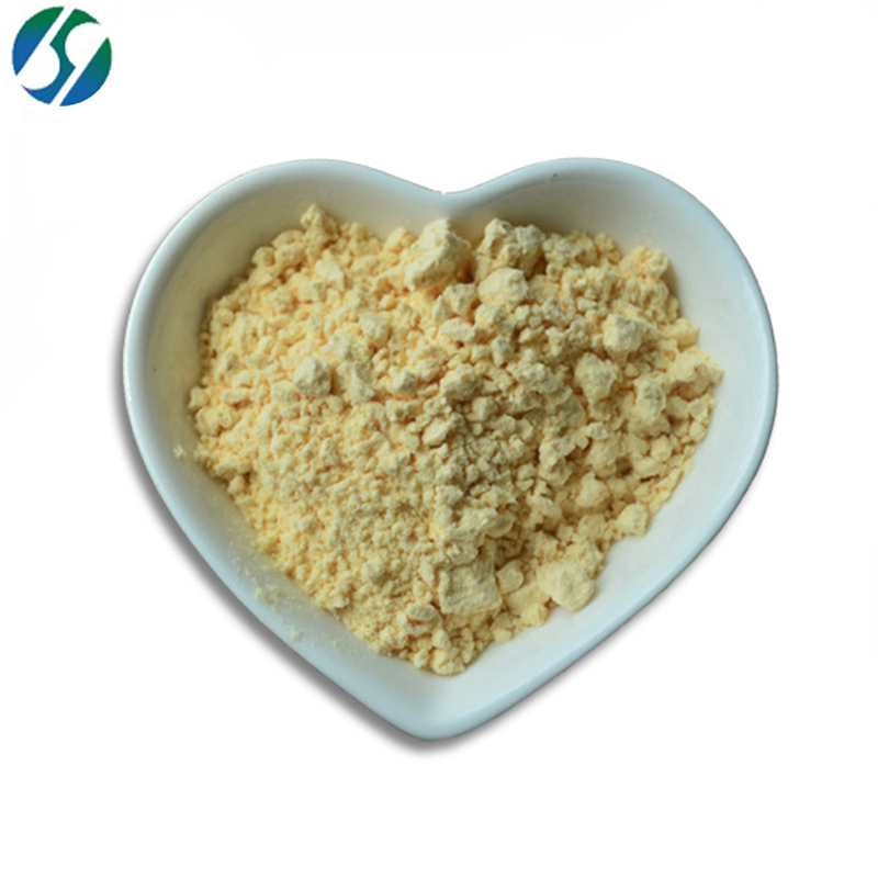 Supply erigeron breviscapus extract / 95% breviscapinun extract powder / breviscapinun
