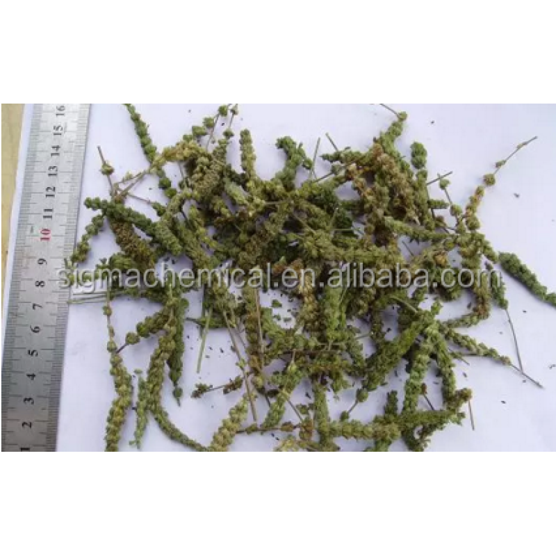 Hot selling high quality Nepeta Oil 8006-99-3 with reasonable price and fast delivery !!