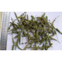 Hot selling high quality Nepeta Oil 8006-99-3 with reasonable price and fast delivery !!