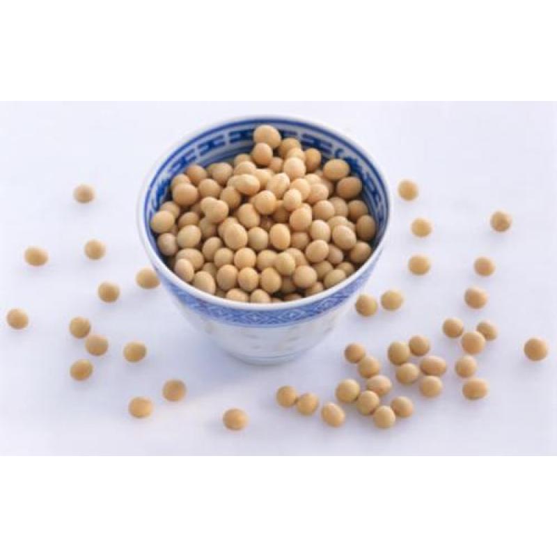 Hot selling high quality Soybean peptide with reasonable price and fast delivery