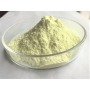 GMP Factory supply Food Additives CAS 153-18-4 Rutin with reasonable price and fast delivery on hot selling