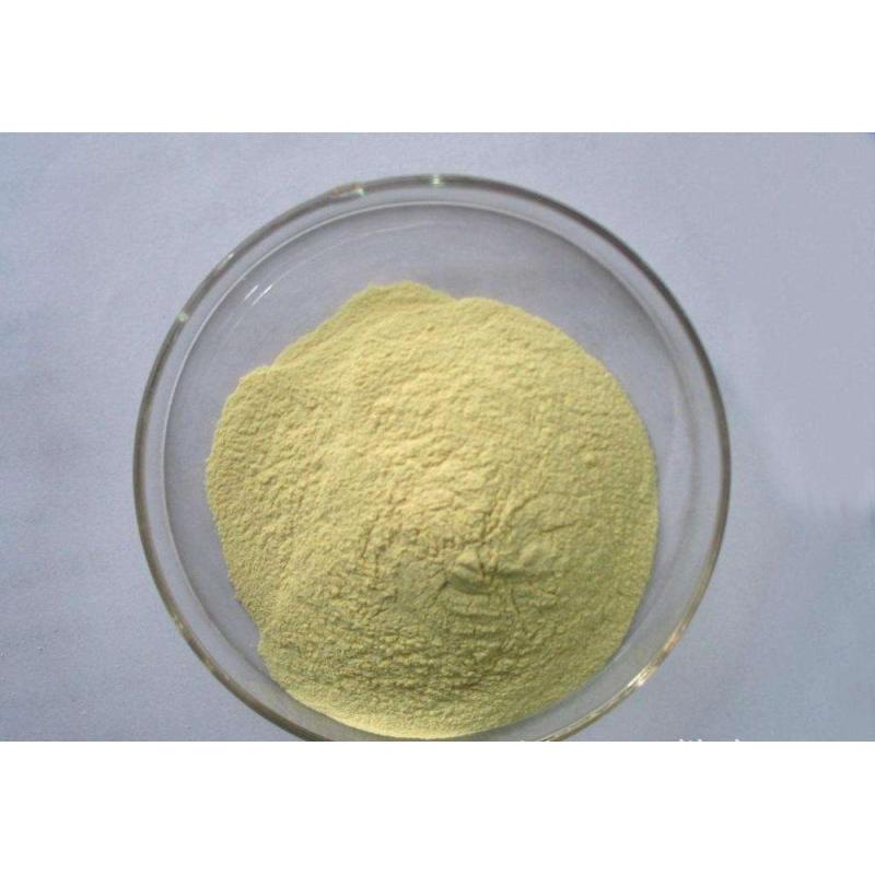 Factory provide high quality amphotericin b with best price 1397-89-3