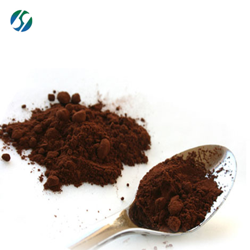 Food additive Natural Pure  cocoa bean extract powder cocoa extract