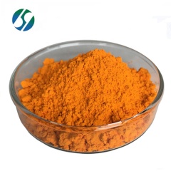 Manufacturer 95 turmeric powder curcumin with best Price 458-37-7