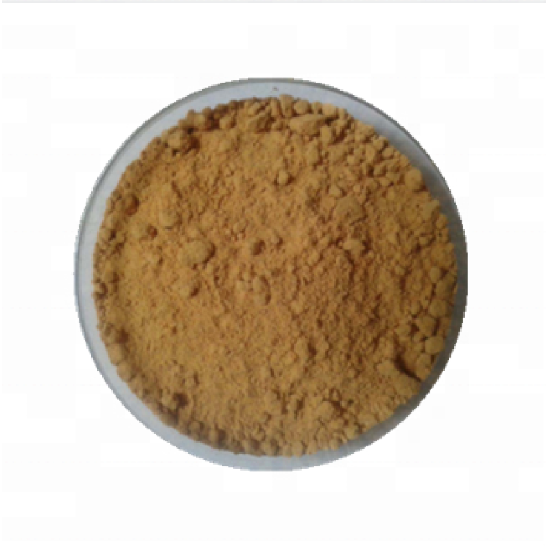 Factory Supply black cohosh extract with best price