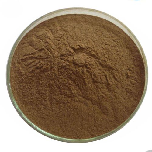 Hot selling high quality Avocado Extract powder