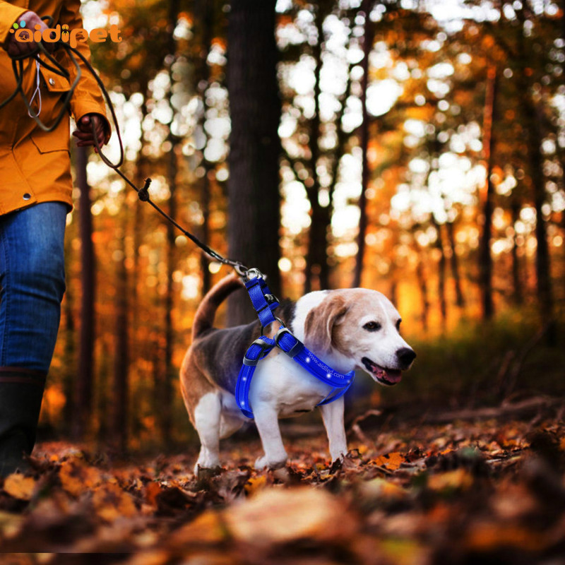 2021 Best Welcome Fashion Led Dog Clothes Designers Led Dog Harness Reflective RGB Light Pet Dog Harness