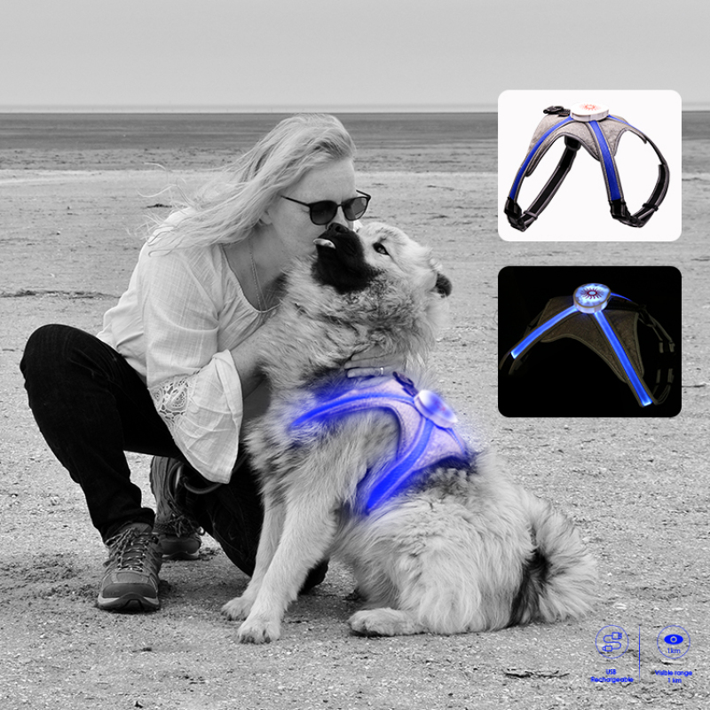 RGB Light Up Dog Harness for Pet Safety Multi-color Pet Harness Vest USB Rechargeable Harness