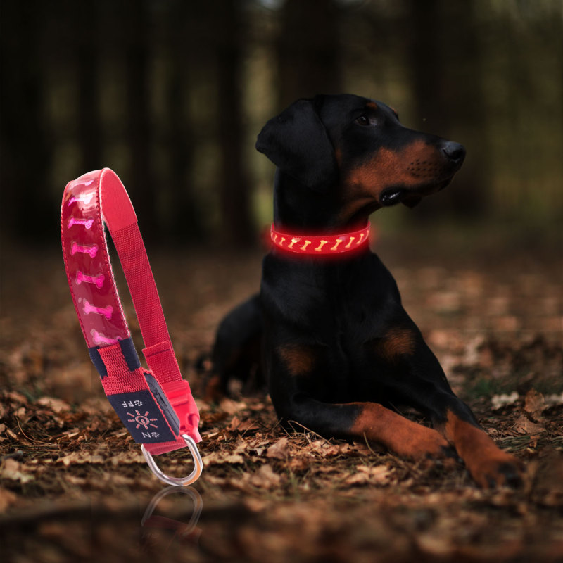 Safety USB Rechargeable PU Leather Dog Collar Night Illuminated Glowing Luminous Light Pet LED Dog Collar