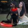 Lighted Adjustable Led Dog Leash Custom Logo Acceptable Wholesale Amazon Selling  Flashing Light up Dog Lead