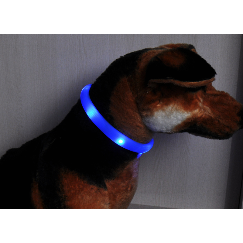Collier de Chien Lumineux Collar de Perro Led Glowing in Dark Dog Leashes and Collars