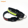 Flashing Led Pet Cat Dog Collars XS XXS Light up Led Collars for Small Dogs Night Walking