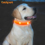 Led Dog Collar Waterproof 2021 Trending Products Light up Silicone Dog Collar USB Charging Flashing Dog Necklace