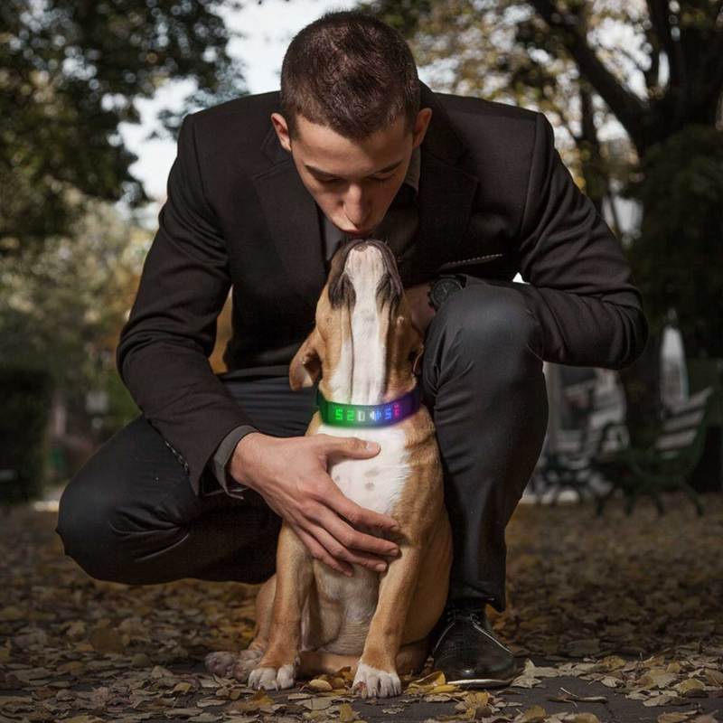 Custom Pet Collar Led Display APP Control Light up Programmed Dog Collar